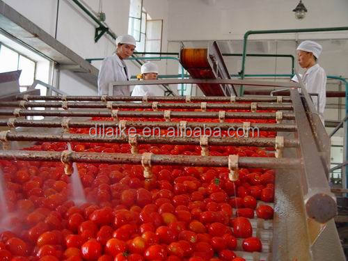 tomato paste sauce