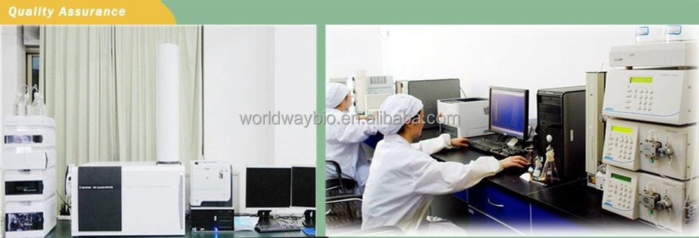 Food grade free sample made in China HACCP KOSHER GMP factory supply 10% piperine water-soluble black pepper extract