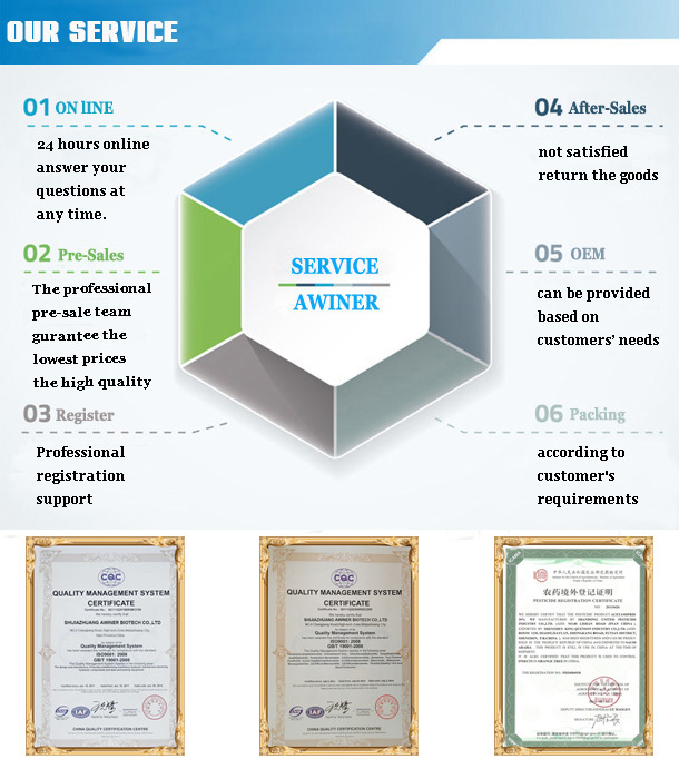 Our service 6.jpg