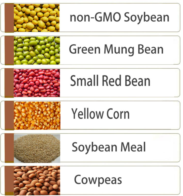 25/50kg Mung bean sprout in pp bags