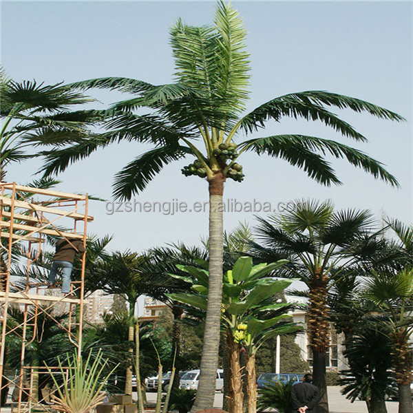 SJAZZY14805 outdoor use decorative coconut tree , large coconut tree