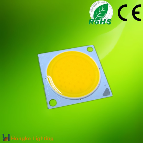 20w COB Led Light Source.jpg