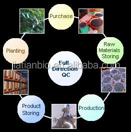 High quality Sweet Tea Extract / 20%~70% Rubusoside