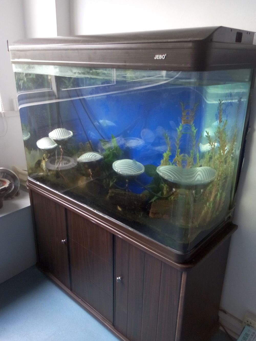 aquarium led lighting.jpg