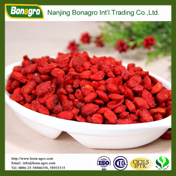 Goji Berry provide sample for free