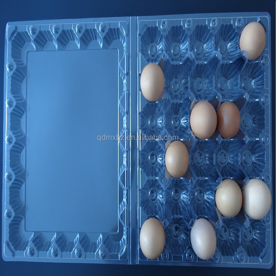 30 hols egg tray (7).JPG