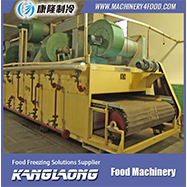 1000kg/h meat vacuum freeze dryer with competitive price