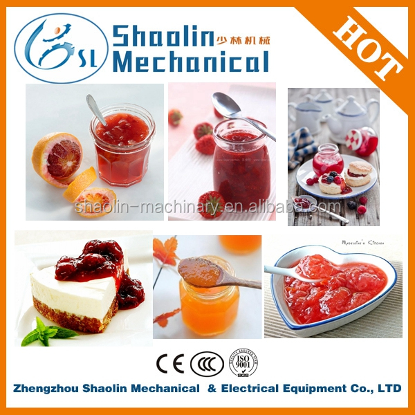 best quality mango fruit pulp extractor for sale