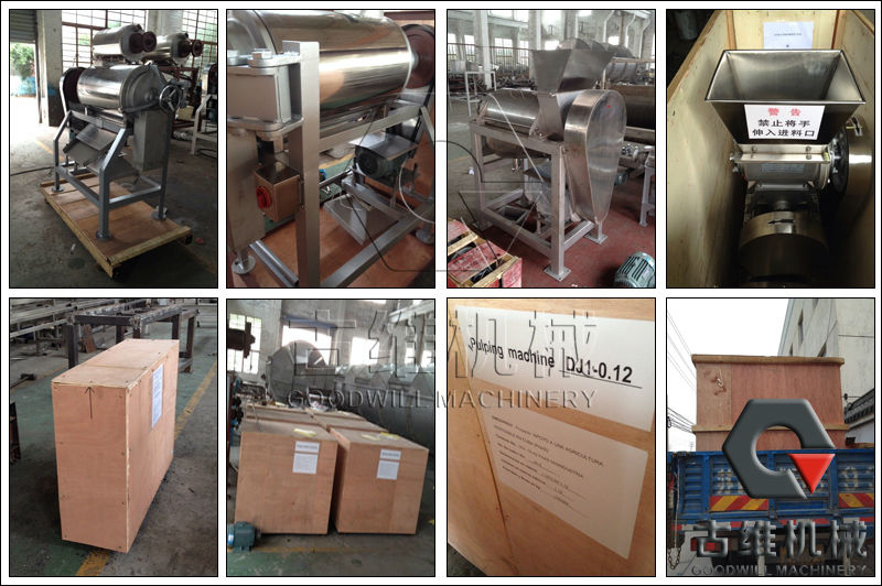 Factory Price Offer High Quality Fruit Juice Making Machine