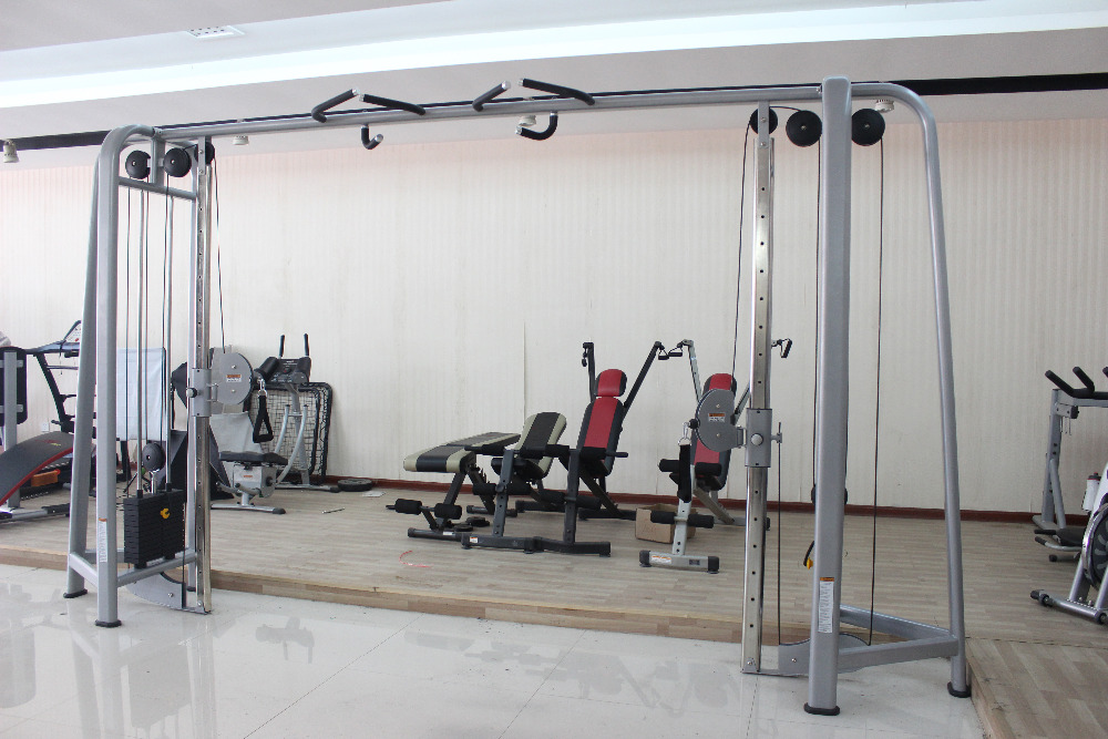 lifefitnessデュアルアジャスタブルプーリーマシンジム仕入れ・メーカー・工場