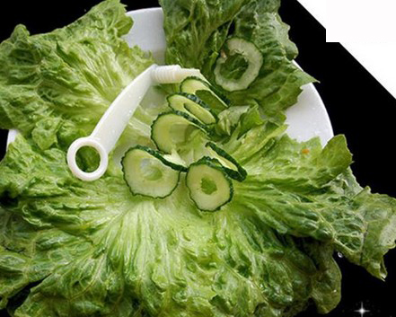 台所の野菜1セットフルーツpeelersおろし金スライサーシュレッダー細断処理2014年カッターツール問屋・仕入れ・卸・卸売り