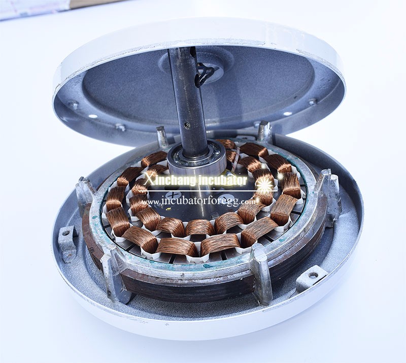 ceiling fan motor