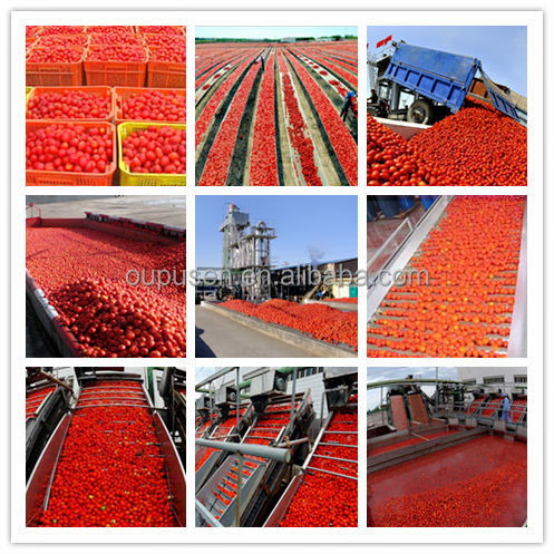 Bulk Tomato Sauce Tinned Tomato Sauce