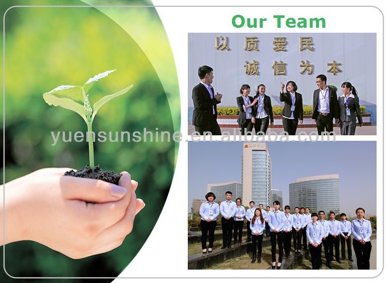 green tea extraction polyphenols powder 10%-98%