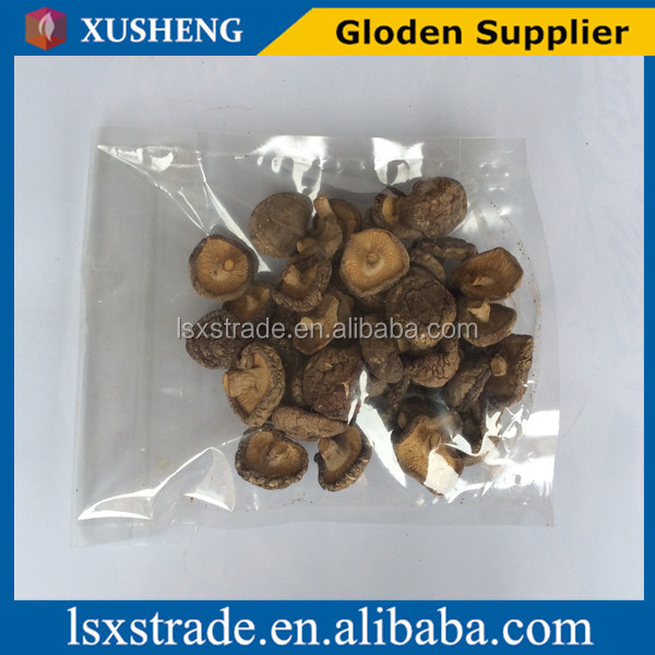 shiitake mushroom with cheap price(B)