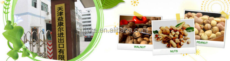 Pine nuts kernels