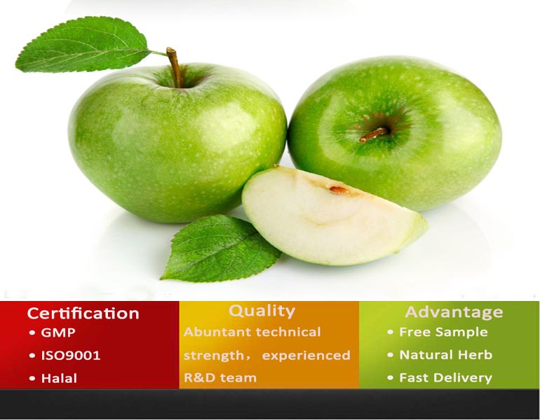Organic Apple Powder/Instant Apple Tea Powder/Apple Powder