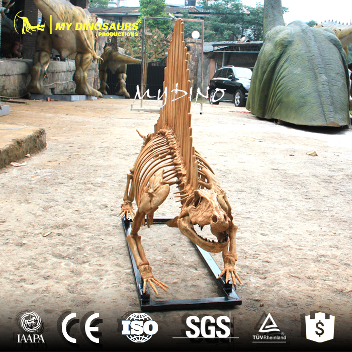 Dimetrodon Skeleton 2.jpg