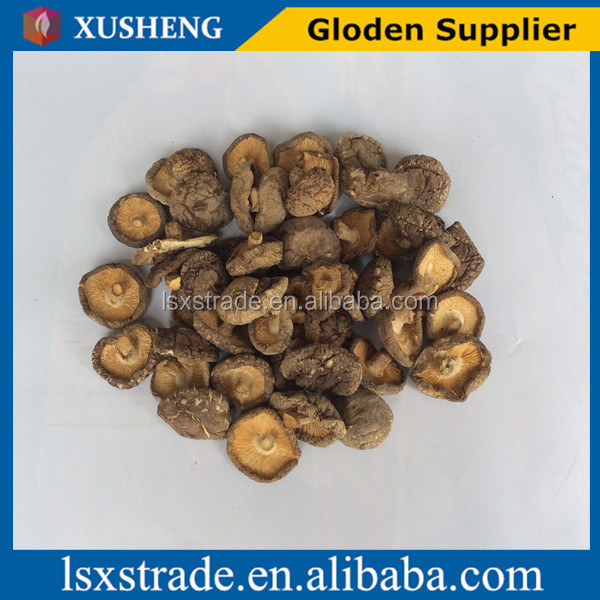 shiitake mushroom with low price (B)