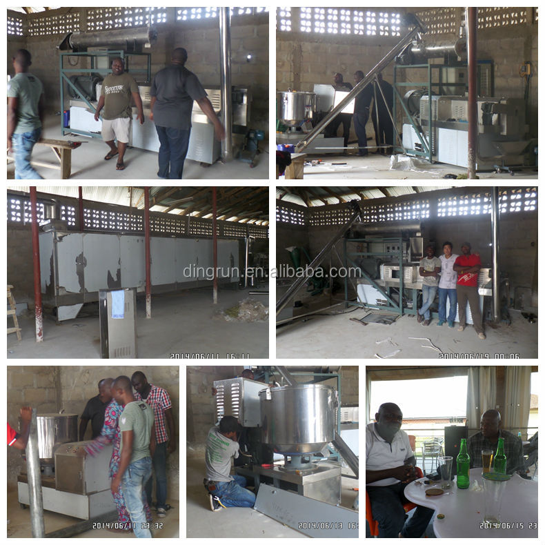 Dog feed processing line