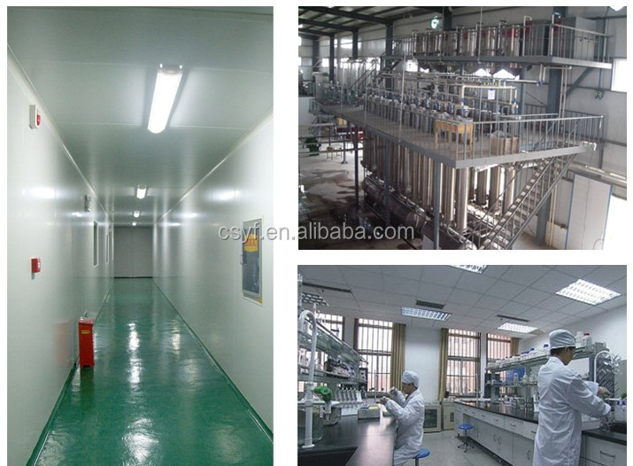 cocoa extract powder cacao theobromine