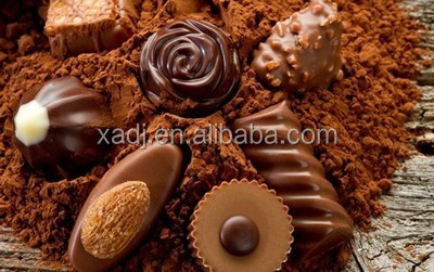 Cocoa extract,cocoa seed extract,cocoa extract powder