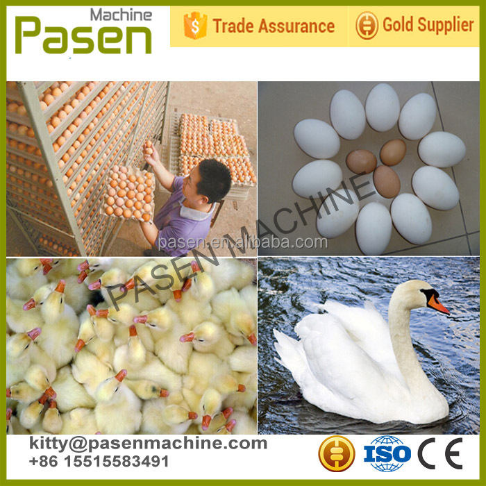 Professional emu egg incubator for sale / chicken egg incubator 