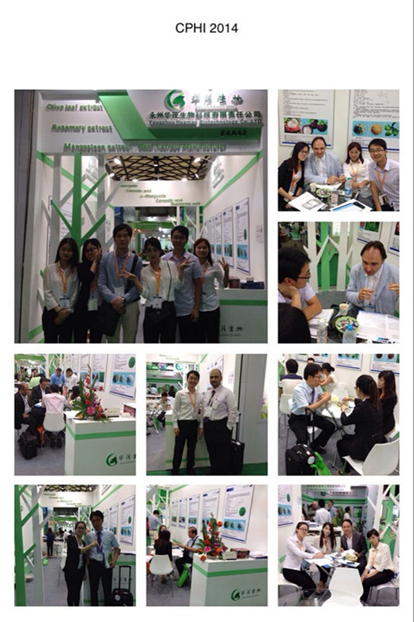 the plant extract EGCG Powder White Tea extract