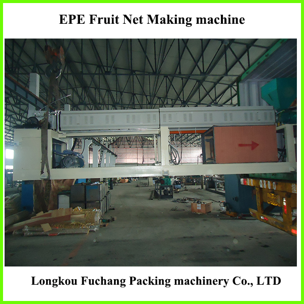 EPE fruit net02