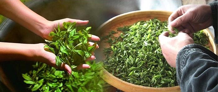 Hot herbal slimming hand made gunpowder green tea