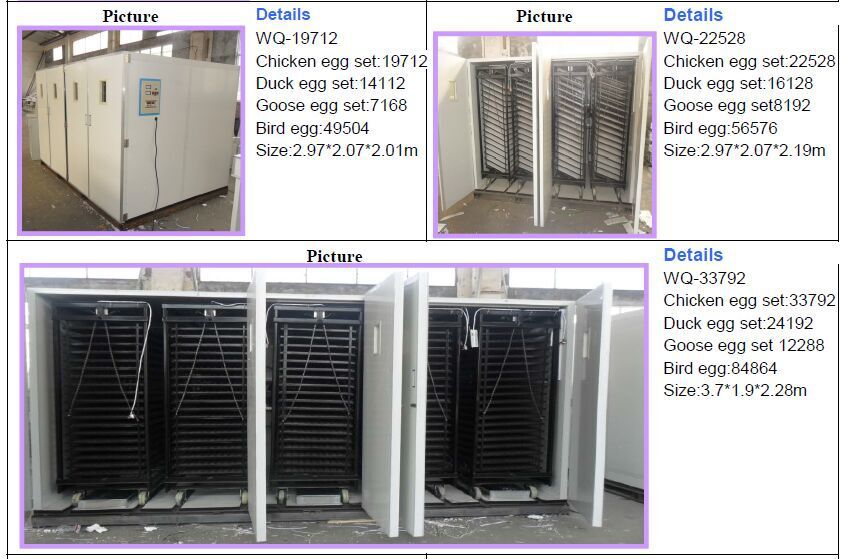 48 chicken egg incubator for sale