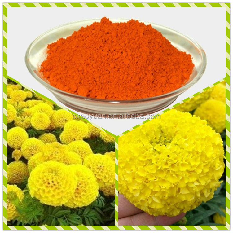 Top Quality Soybean Extract Soy Isoflavone