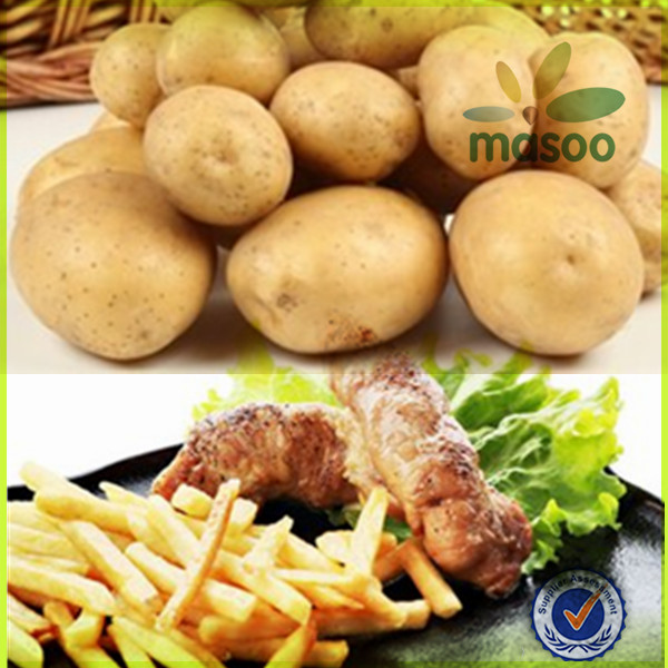 Chinese fresh sweet Holland potato factory and exporter