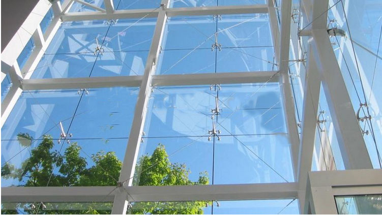 glass spider (1).jpg