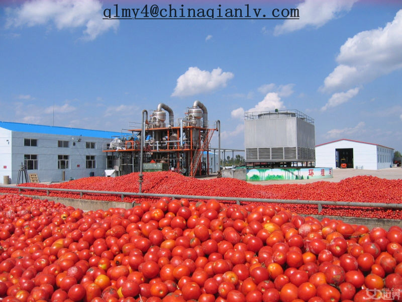 tomato paste making machine