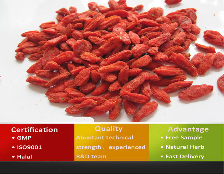 Goji Berry Extract/Goji Extract/Ningxia Goji Berry