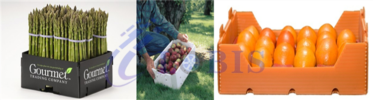 food box.jpg