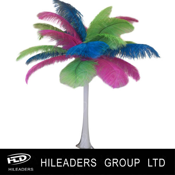 ostrich feathers