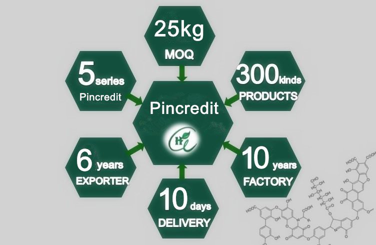 10%-60% Polysaccharides Extract From Natural Goji Berry Extract Powder