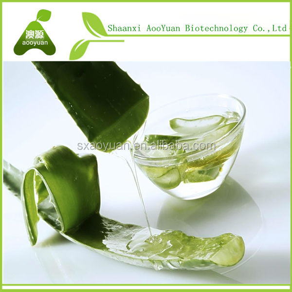 aloe vera essential oil/aloe vera oil