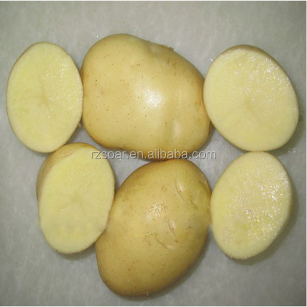 fresh potato in mesh bag