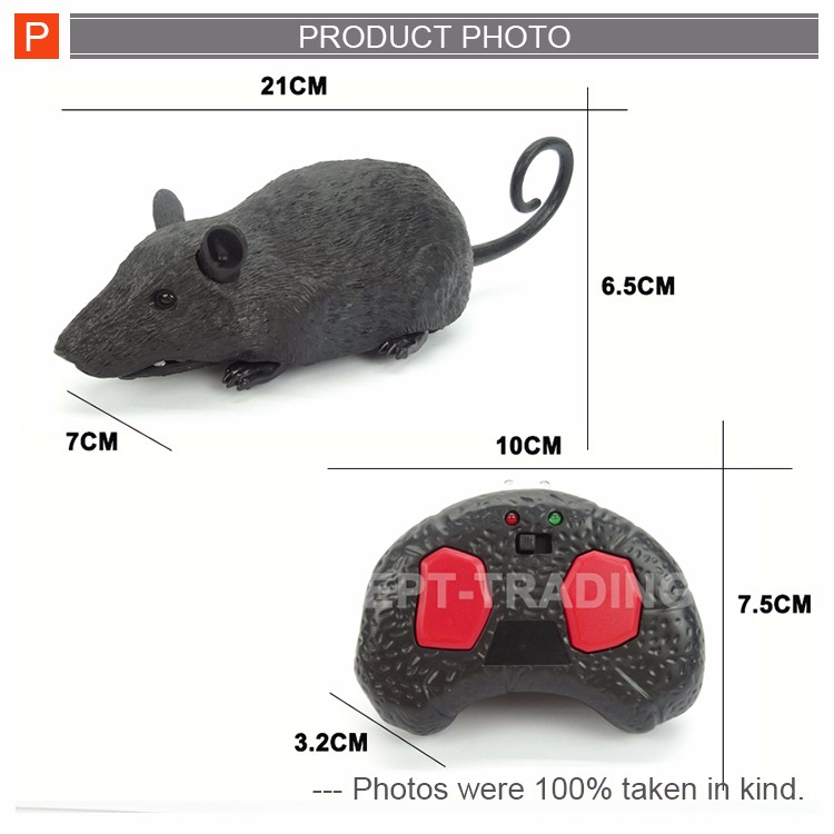 battery operated mouse toy