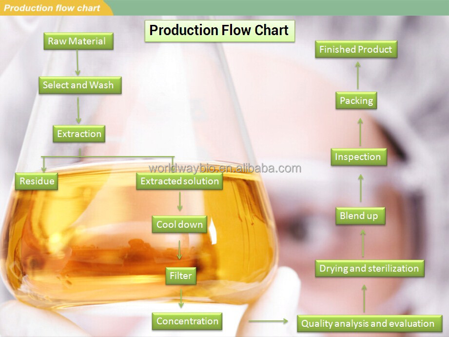 GMP factory making high quality 98% polyphenols organic green tea powdered extract