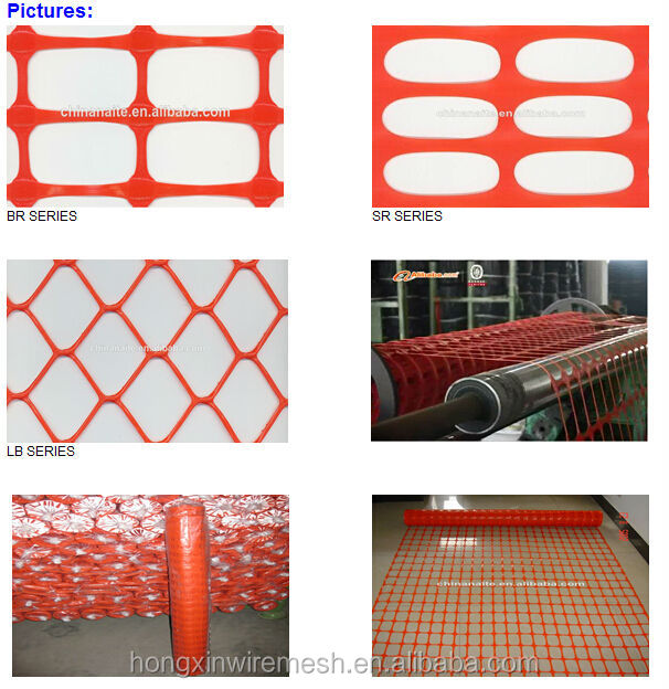 orange net .jpg