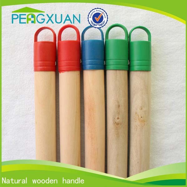long broom handle.jpg