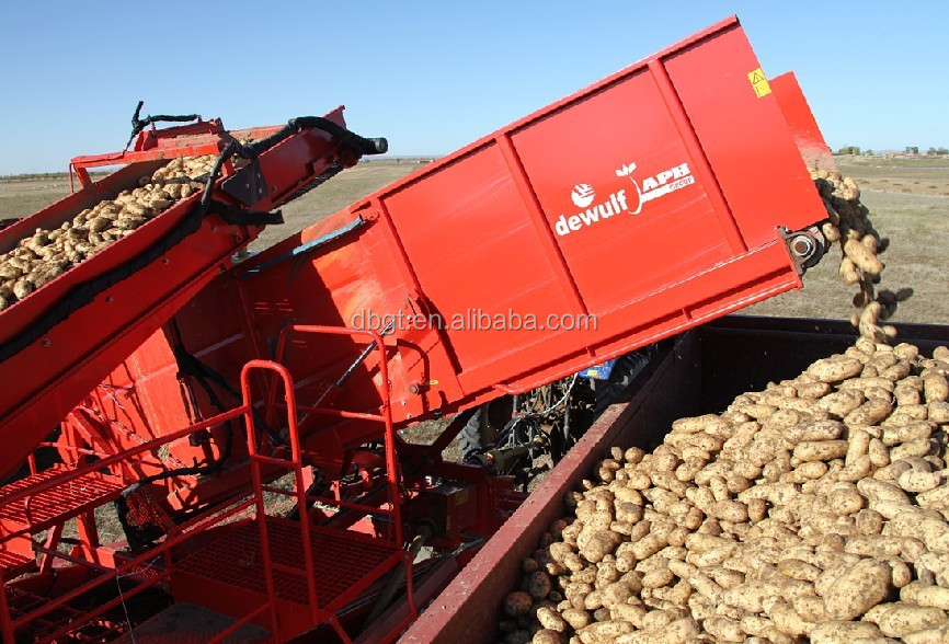 2014 Shaanxi new crop Fresh Potato in Various Pack