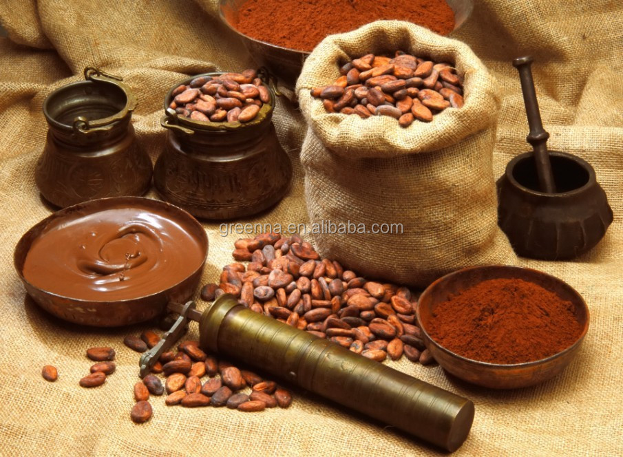 cocoa polyphenols 20% theobromine 10% hplc