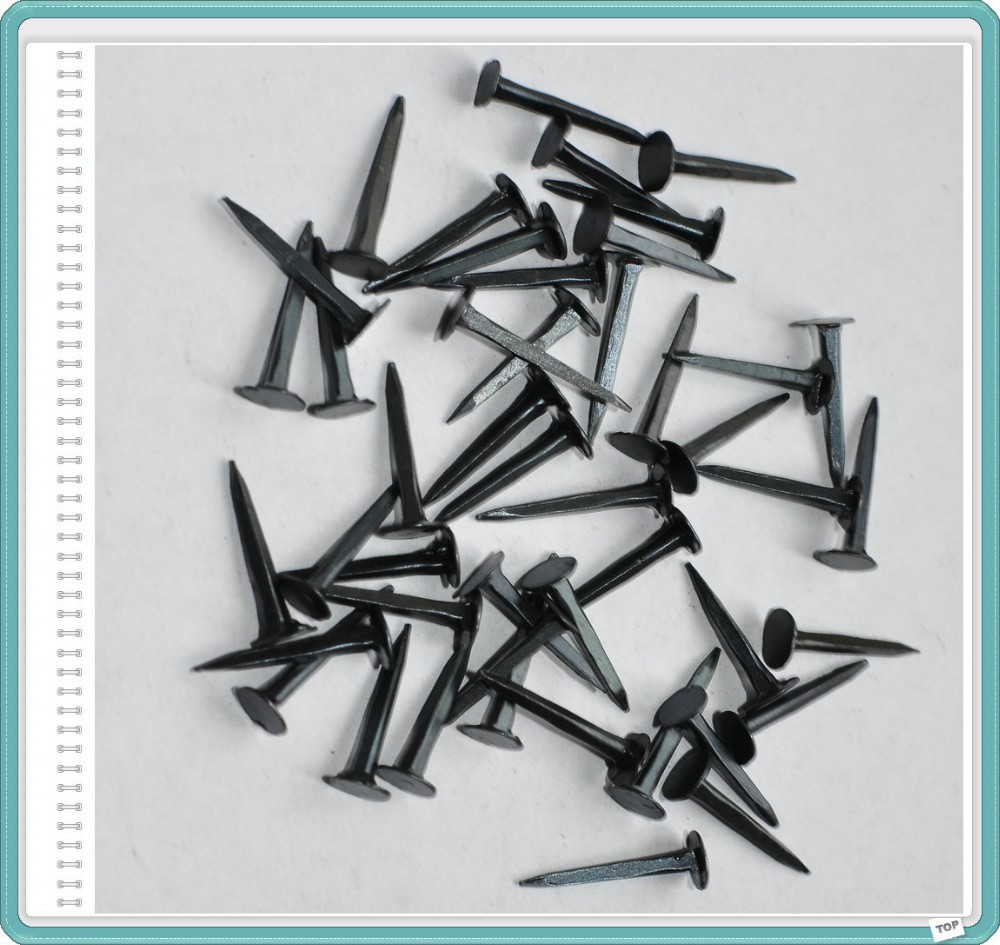 Blue Tack Shoe Nail Buy Round Head Shoe Nail,Nails For Shoe Sole,Nail