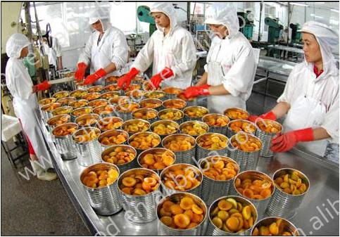 canned fruit in sugar water/ canned yellow peach