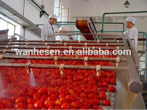 High Quality tomato paste production 210gx48tins